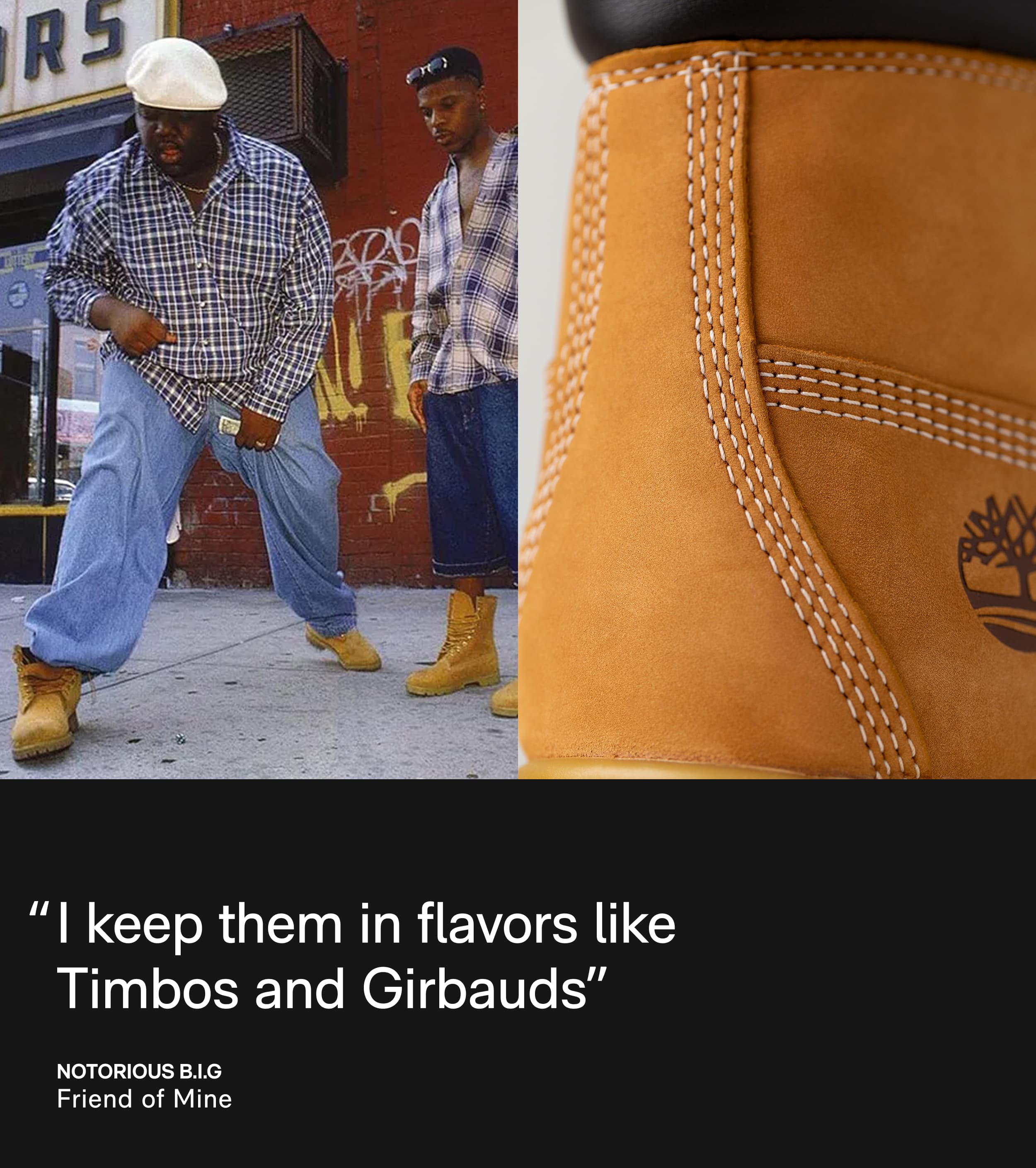 USC Web Design Timberlands