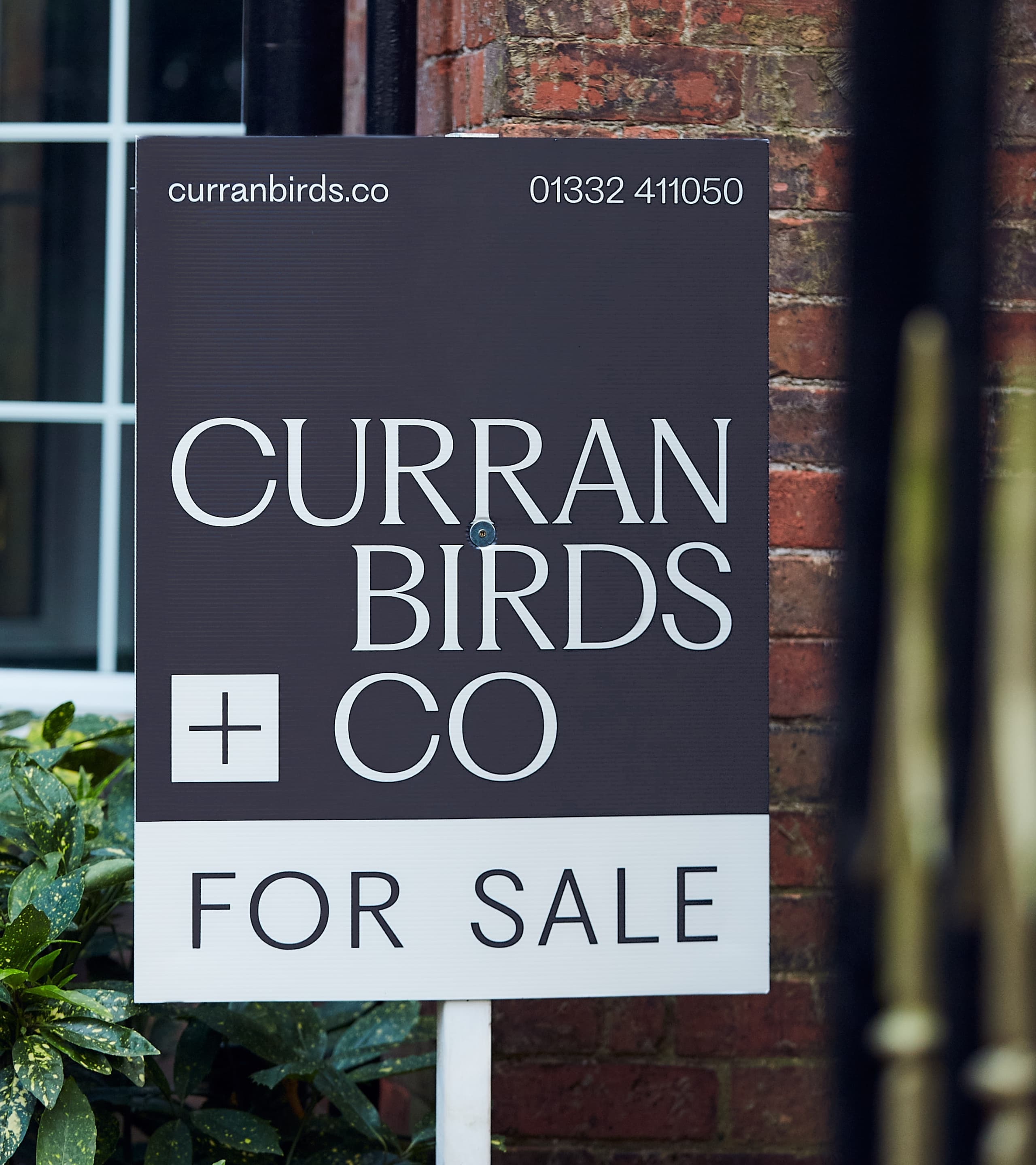 Curran Birds - 07