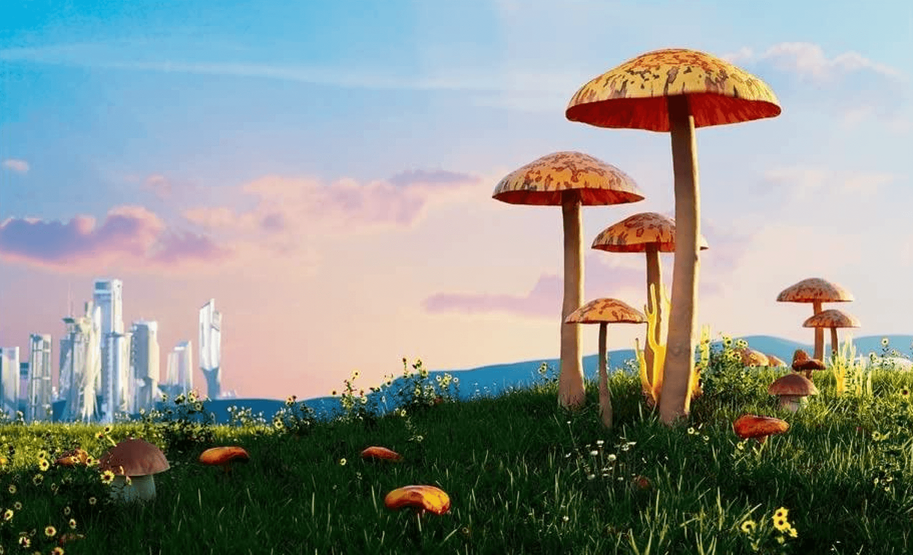 Much Ado About Mushrooms — The One Off insights