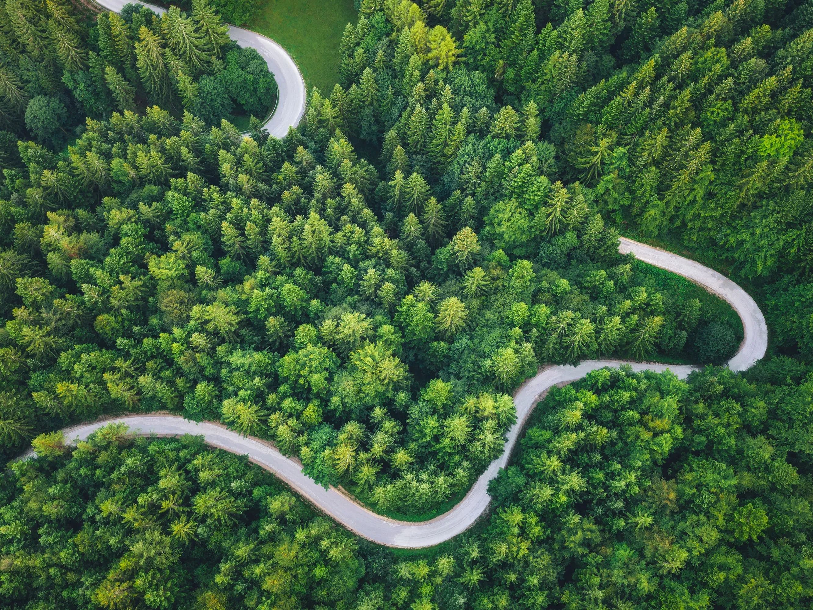 Sustainable Travel Priorities — The One Off insights