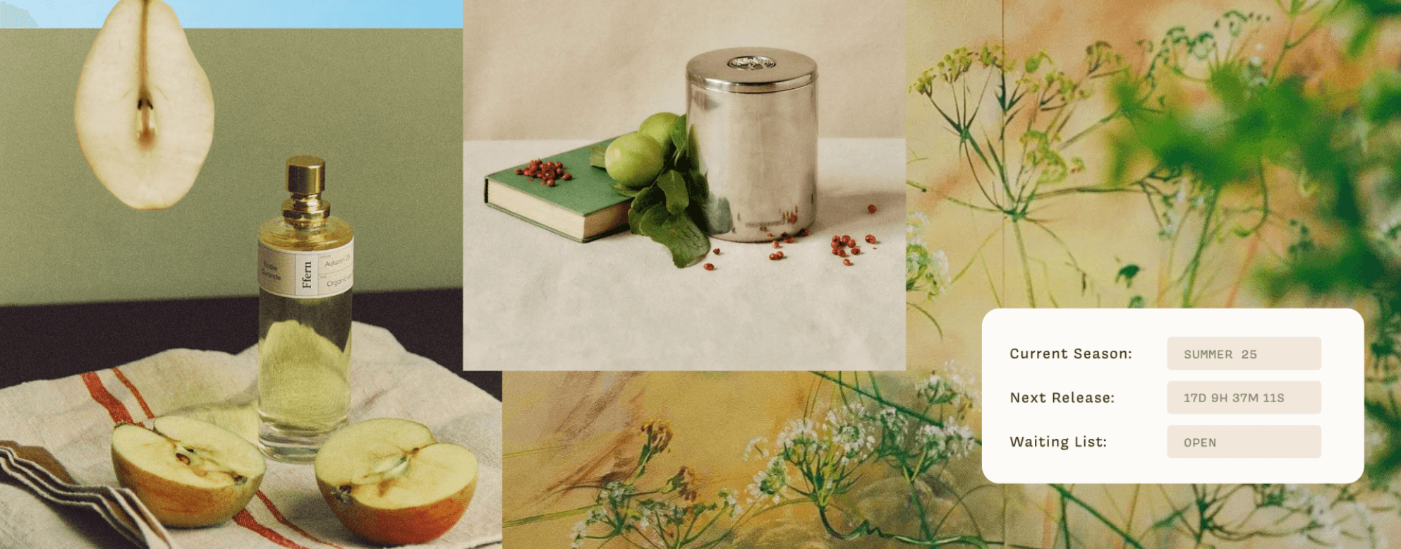 Ffern: Seasonal Fragrance Drops