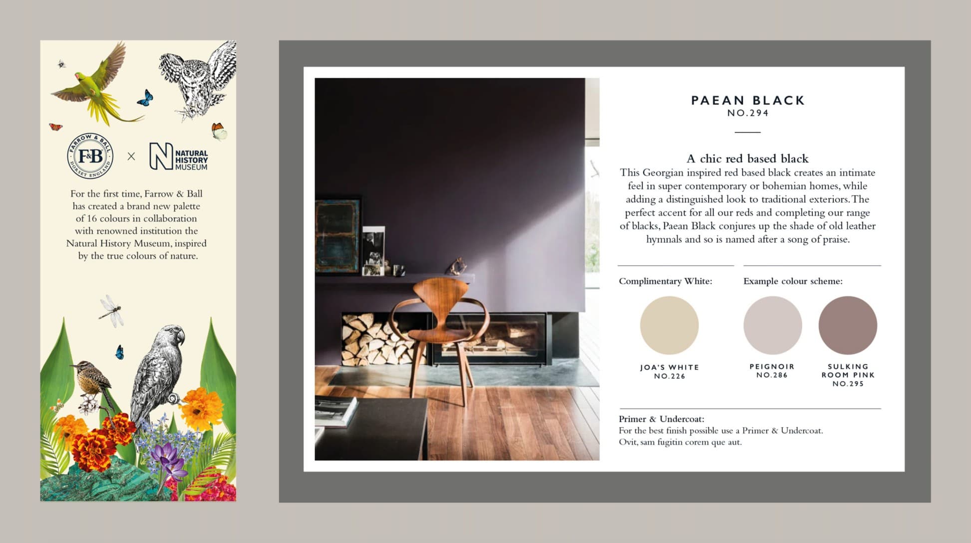 Farrow & Ball x Natural History Museum, Paean Black No.294