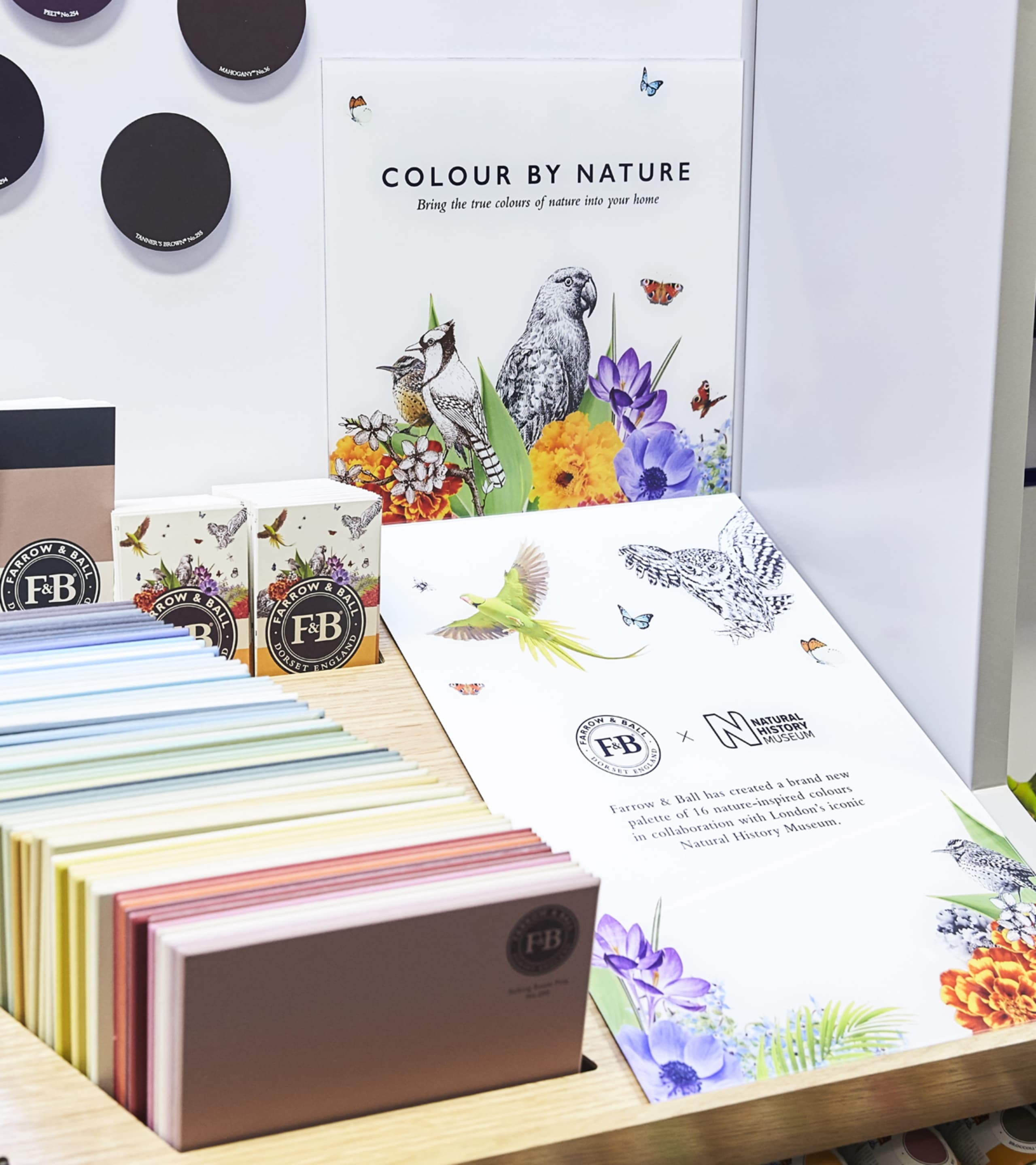 Farrow and Ball image 5